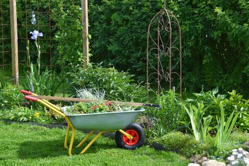 Wheelbarrow with waste from weeding and cleaning flower beds from weeds