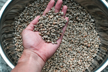 Greenbeans Indonesian Arabica coffee. premium coffee beans