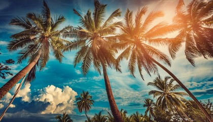 Blue sky and palm trees view from below, vintage style, summer panoramic background, tropical