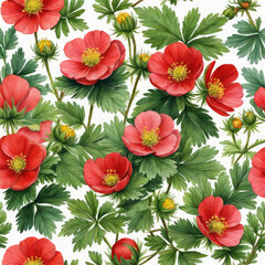 Background with Potentilla anserina with red flowers. Watercolor. - obrazy, fototapety, plakaty