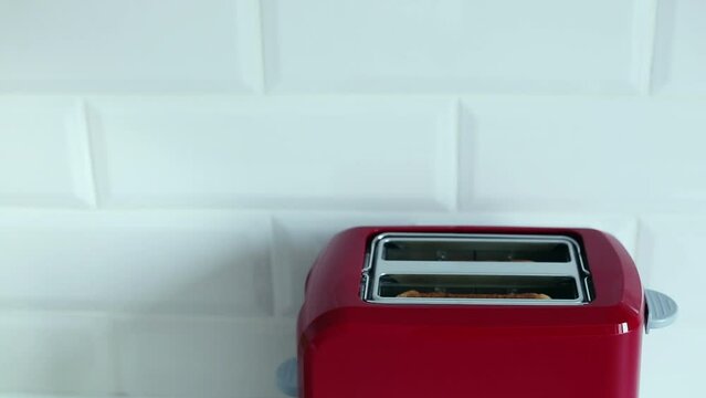 Roasted toast bread popping up from bright red toaster machine. Two toast pieces popping out from toaster 