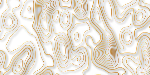 Obraz premium Abstract white colorful golden Topographic line map background. Contour elevation topographic and textured Background Modern design with White background with topographic wavy pate for decoration.