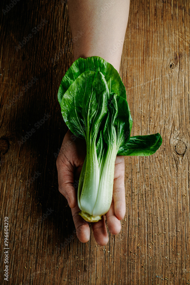 Poster bok choy in the hand of a man