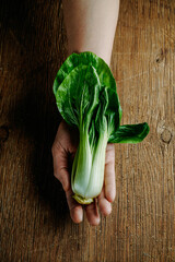 bok choy in the hand of a man