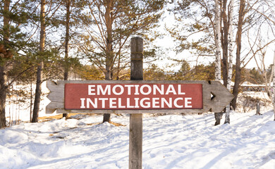 EI emotional intelligence symbol. Concept words EI emotional intelligence on wooden road sign....