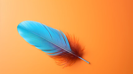 feathers floating on background