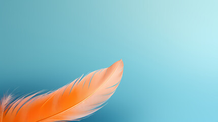 feathers floating on background