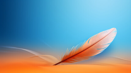 Fototapeta premium feathers floating on background