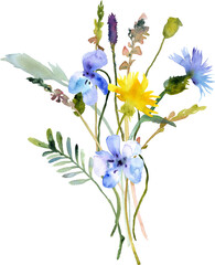 Watercolor bouquet of wild flowers, png with transparent background. Perfectly for poster, card design. Mother's Day, Birthday, Valentine's day decoration.