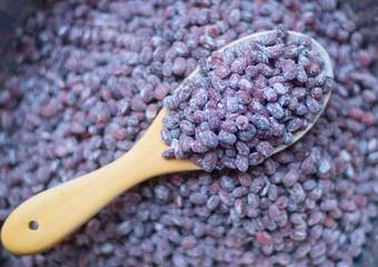 dried boiled asuki beans mixed with Tempeh Starter Powder, Rhizopus oligosporus, in wooden spoon isolated on heap of azuki bean, closed up.
