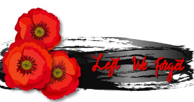 Motion graphic for Remembrance day. Lest we forget. Animation red poppy flower international symbol of peace on the white screen. Great for design banner, header for website. Stock video 4k