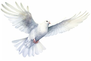 Animal flying white bird. - obrazy, fototapety, plakaty