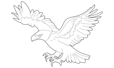 Bald Eagle Colouring Page element, isolated on white