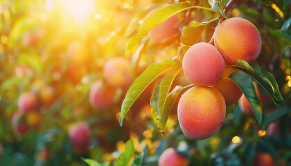 Fresh juicy yellow mangos close up generated.Ai