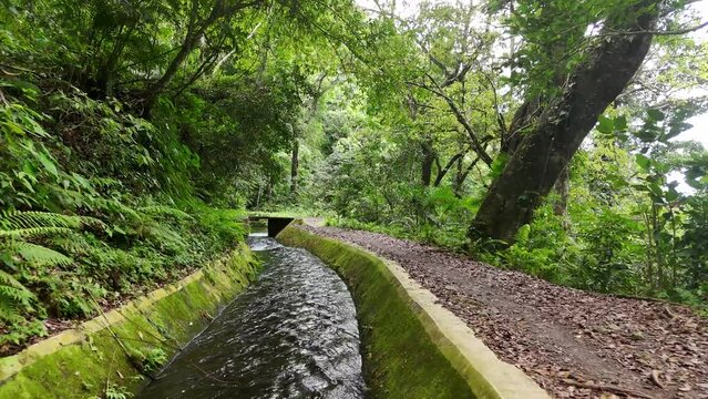 Water channels used to irrigate rice fields. location in Senaru Village - North Lombok - 