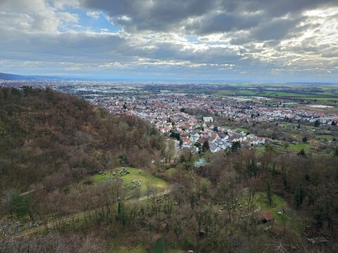 Blick von Schriesheim/Dossenheim auf die Rheinebene