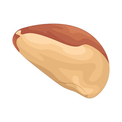 Illustration of bean 