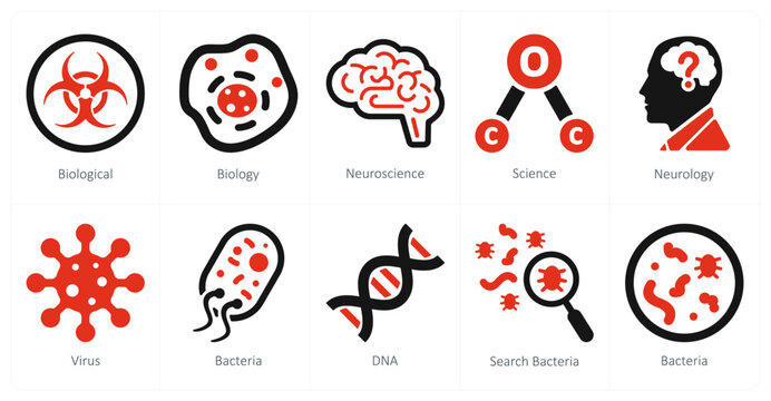 A set of 10 Science and Experiment icons as biological, biology, neuroscience