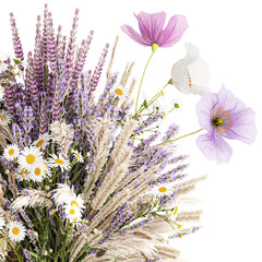  Bouquet of wildflowers lavender chamomile poppy pampas isolated on white background