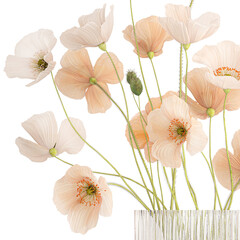 bouquet of wildflowers in a vase with poppy isolated on white background