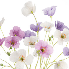  Small bouquet of wildflowers in a vase with poppy isolated on white background