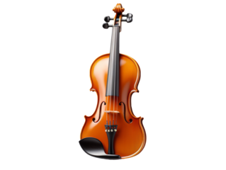 violin