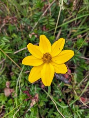 Hike to Lake Humantay, Peru - April 2024