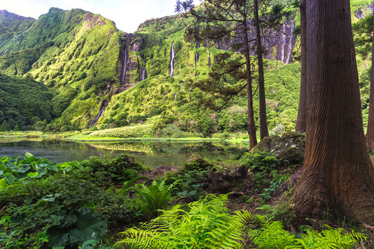 Azores landscape with waterfalls and cliffs in Flores island, Poco da Ribeira do Ferreiro, Azores, Flores island, Portugal, Europe
