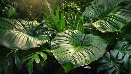 3. "Tropical Tranquility: Leafy Haven"
   Immerse yourself in the exotic allure of tropical foliage with this captivating nature background. foliage, herb, flora, green