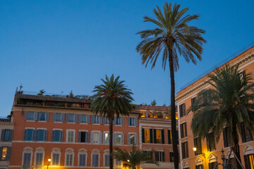로마 스페인광장의 저녁 : 이탈리아 여행, 야자수