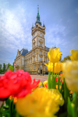 Bielsko-Biała kwiaty wiosna