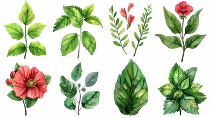 Isolated modern illustration templates of floral and plant elements: leaves, branches, vines, and flowers.