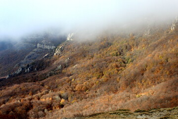 Autumn mountains on a foggy morning