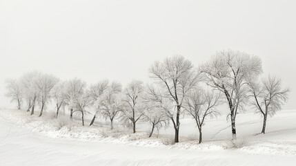 Sparse Winter Landscape with Delicate Tree Patterns.
