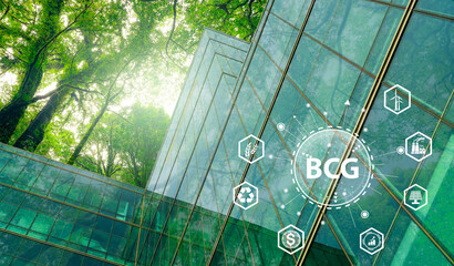 Bio-Circular Green economy concept. Corporate sustainability, renewable energy, and green building strategies for a sustainable future. Sustainable Development Goals. BCG economy. Renewable energy.