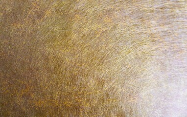Close up gold scratched grunge textured fabic clothing material texture background isolated on horizontal ratio template with empty copy space for social media, website post, and cover prints.
