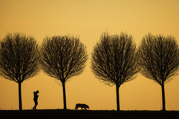 black silhouettes lonely figure with a dog against the colourful background of the setting sun