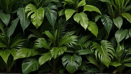 green leaves background
