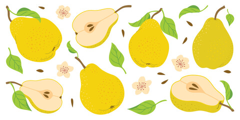 Hand drawn colorful pear set, whole and cut fruit, flowers, leaves. Trendy flat style isolated on white for textiles, labels, posters, web. Ripe juicy pears. Vegetarian organic food. Vector illustr