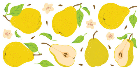 Hand drawn colorful pear set, whole and cut fruit, flowers, leaves. Trendy flat style isolated on white for textiles, labels, posters, web. Ripe juicy pears. Vegetarian organic food. Vector illustr
