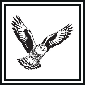 black and white owl soaring clip art preview