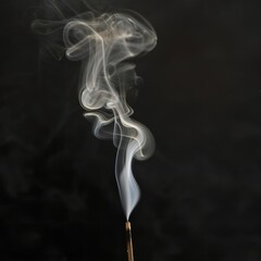 /imagine: prompt wide shot of a single match burning with a long elegant curl of smoke rising from it on a black back ground