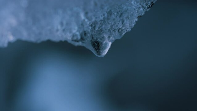 Spring snow melting, macro shot of water droplets in slowing down dripping. Global warming, melting of glaciers.