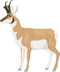 Antelope Vector Animal Images are fast, sleek, nd graceful