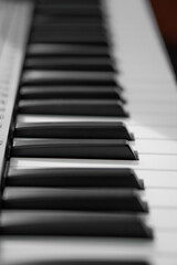 piano keys, blurred background in the distance