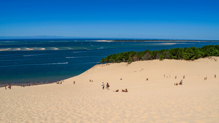 sandy beach in the summer, sea, sky, blue, sand, hot, holidays, tree 