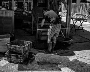 man working on a machine, oyster, preparation, cleaning, motor, artisanal