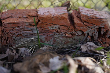 Stratified brick from time to time