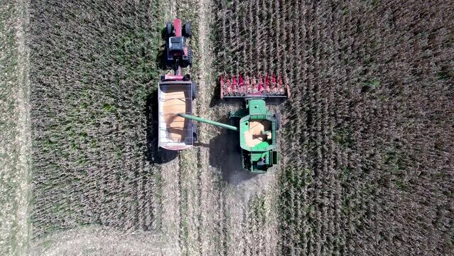 Aerial video of combine harvesters working during the harvest season in a large mature cereal field in Argentina.