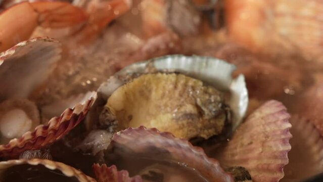 해물 조개탕 해산물 음식 식사 전골